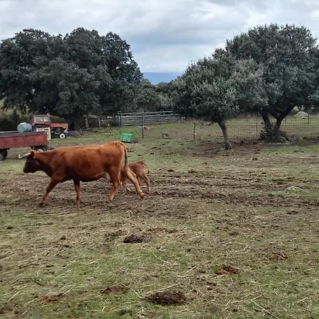 La Cantina Villar de Corneja