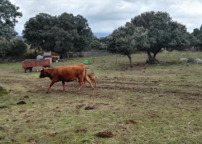 La Cantina Villar de Corneja